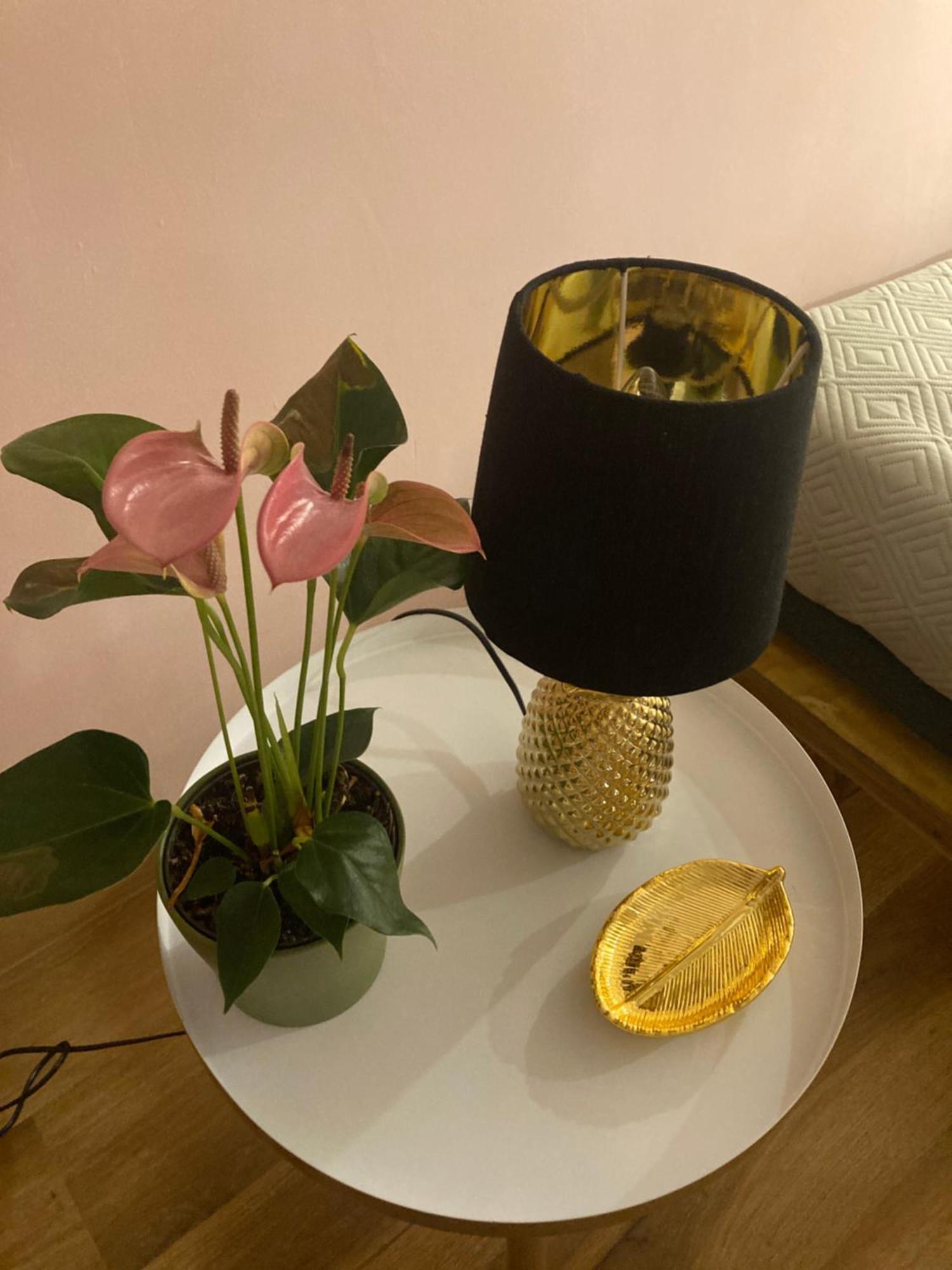 Duomo Suites Флоренция Екстериор снимка